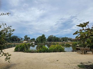 Casa rural en venta en Eucaliptus-Poble Nou del Delta en Amposta