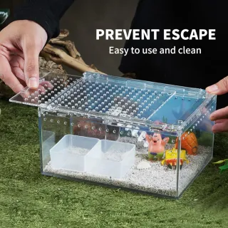 Terrario Reptiles 30x20x15 cm