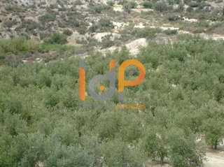 Terreno en venta en Cuevas del Almanzora pueblo en Cuevas del Almanzora