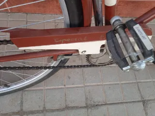 Bicicleta Clásica Especial