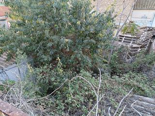 Casa adosada en venta en El Castell en Burjassot