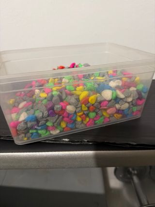 Pecera de hogar cristal y plástico