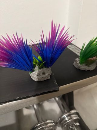 Pecera de hogar cristal y plástico