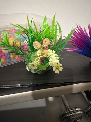 Pecera de hogar cristal y plástico