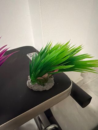 Pecera de hogar cristal y plástico