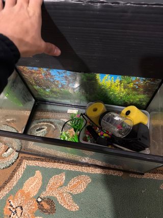 Pecera de hogar cristal y plástico