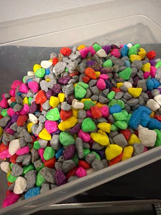 Pecera de hogar cristal y plástico