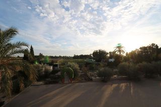 Chalet en venta en La Algoda - Matola - El Pla en Elche