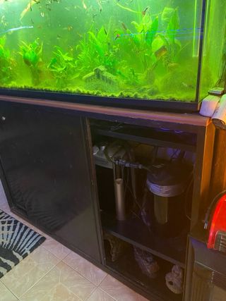 Acuario 300L con mueble metálico