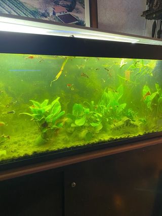 Acuario 300L con mueble metálico