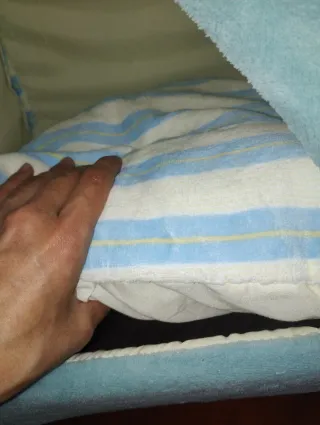 Casa nido para gatos/perros pequeños