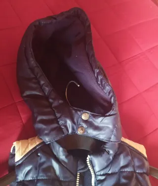 Gilet bambino 5-6 anni