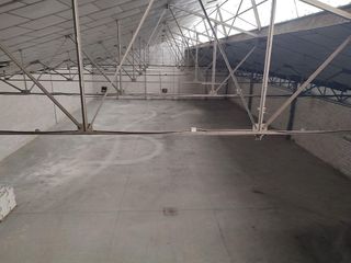 Nave industrial en alquiler en Santa Clara en Sevilla