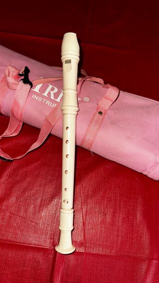 Melódica IRIN rosa con funda