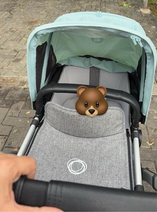 Bugaboo Cameleon3