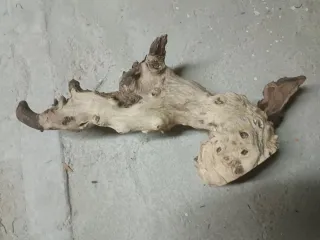 Tronco decorativo para acuario/terrario 30-45 cm