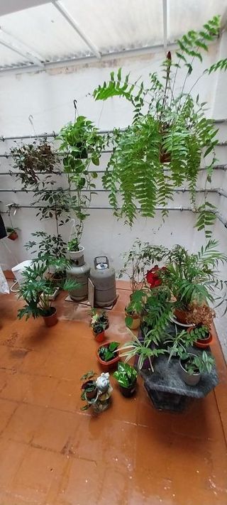 Piso en venta en San Cristóbal de La Laguna - La Vega - San Lázaro en San Cristóbal de La Laguna