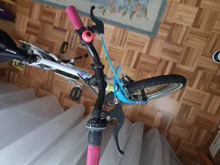 Bicicleta infantil 20 pulgadas