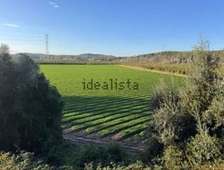 Terreno en venta en Arcos de la Frontera