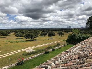 Chalet en alquiler en La Florida - El Plantío en Madrid
