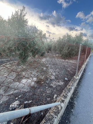 Terreno en venta en Lucena