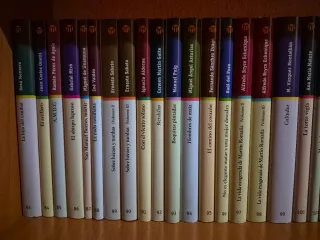 Colección Las mejores novelas contemporáneas