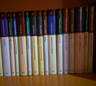 Colección Las mejores novelas contemporáneas