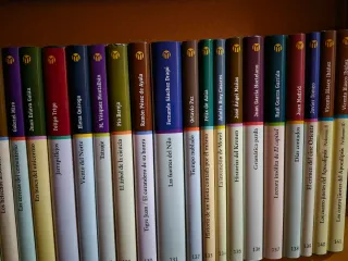 Colección Las mejores novelas contemporáneas