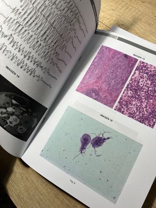 Simulacros CTO y AMIR