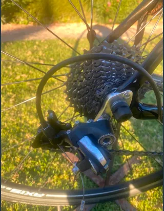 Bici Carretera Specialized Carbono