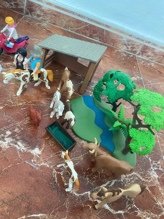 Playmobil Casa con Accesorios