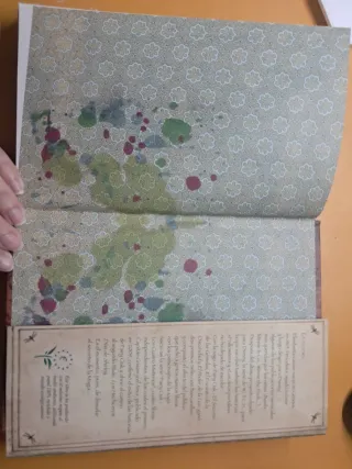 FAIRY OAK. FLOX DE LOS COLORES / PD.