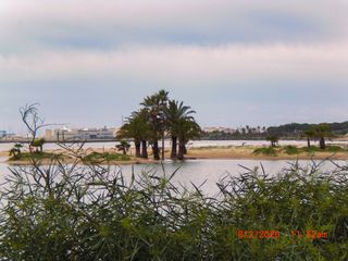 Cámara Casio Exilim Z21