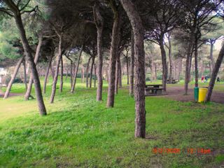 Cámara Casio Exilim Z21