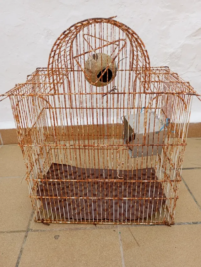 Jaula para pájaros oxidada