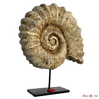 Réplica Amonita de color beige grande de Resina