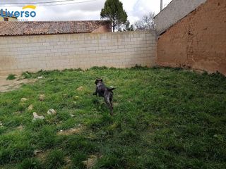 Terreno en venta en Centro en Aranda de Duero