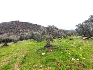 Terreno en venta en Villanueva del Rey