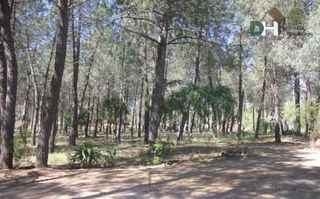 Terreno en venta en Ciudad Monumental en Cáceres