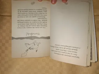 Libro Pokémon Raro - Anni 2000