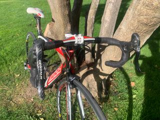 Bicicleta Carbono Mendiz