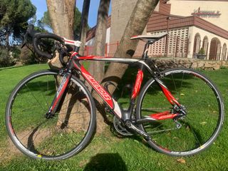 Bicicleta Carbono Mendiz