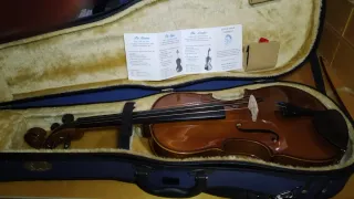 VIOLA STENTOR STUDENT II