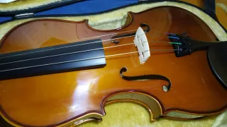 VIOLA STENTOR STUDENT II