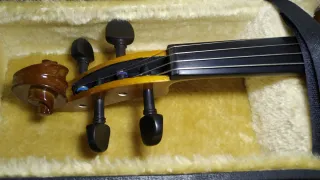 VIOLA STENTOR STUDENT II