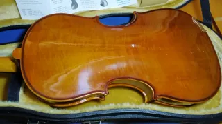 VIOLA STENTOR STUDENT II