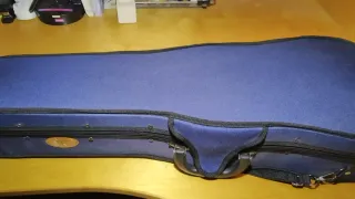 VIOLA STENTOR STUDENT II