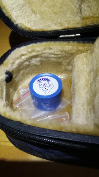 VIOLA STENTOR STUDENT II