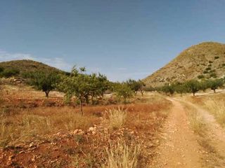 Terreno en venta en La Union Pueblo en Unión (La)