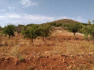 Terreno en venta en La Union Pueblo en Unión (La)